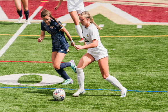 240907_Walsh v Clarion_703