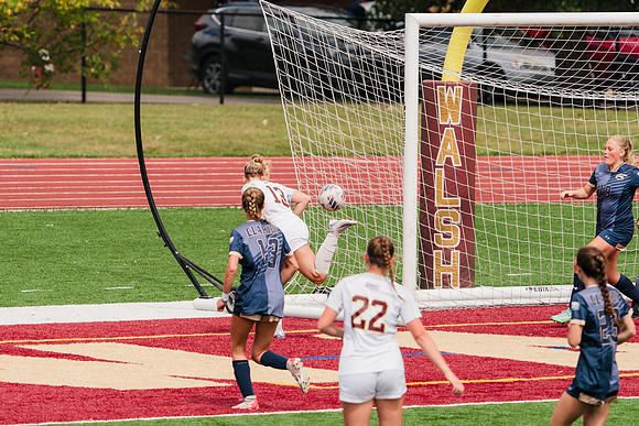 240907_Walsh v Clarion_484