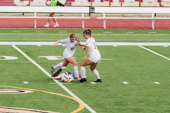 240907_Walsh v Clarion_915