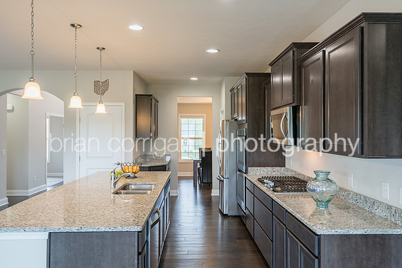 20170521-6645 Regal Wood-365-HDR.jpg