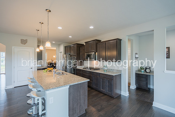 20170521-6645 Regal Wood-375-HDR.jpg