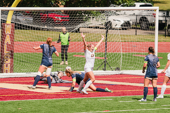 240907_Walsh v Clarion_601