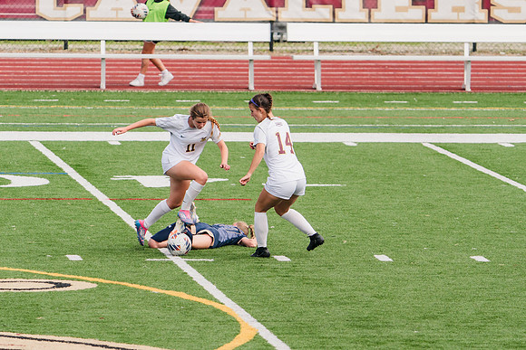 240907_Walsh v Clarion_914