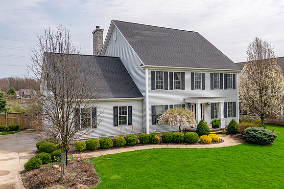 20190418-5671 Abbeyshire001.jpg