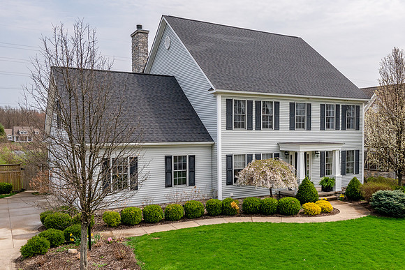 20190418-5671 Abbeyshire002.jpg