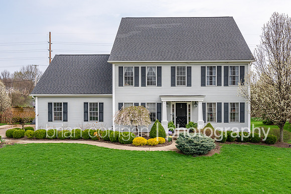 20190418-5671 Abbeyshire005.jpg