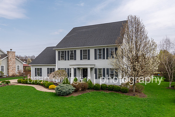 20190418-5671 Abbeyshire007.jpg