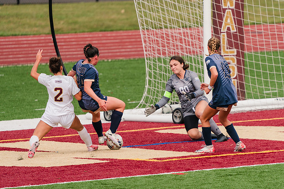 240907_Walsh v Clarion_886