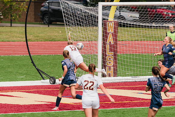 240907_Walsh v Clarion_483